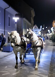 RP0345_Slovenske_Konjice_Praznicni_december_2018_DM19_Dan_Briski