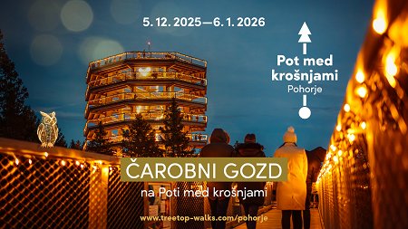 Čarobni gozd med krošnjami_PMK